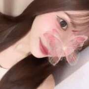 ヒメ日記 2025/08/07 09:58 投稿 なな【ハイスペック美女】 STELLA TOKYO－ステラトウキョウ－