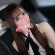 ヒメ日記 2025/09/05 23:52 投稿 なな【ハイスペック美女】 STELLA TOKYO－ステラトウキョウ－