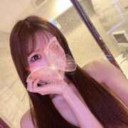 ヒメ日記 2025/11/03 10:06 投稿 なな【ハイスペック美女】 STELLA TOKYO－ステラトウキョウ－