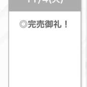 ヒメ日記 2025/11/04 23:27 投稿 なな【ハイスペック美女】 STELLA TOKYO－ステラトウキョウ－