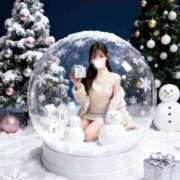 ヒメ日記 2025/12/24 16:07 投稿 なな【ハイスペック美女】 STELLA TOKYO－ステラトウキョウ－