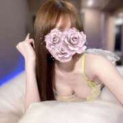 ヒメ日記 2026/04/13 10:21 投稿 なな【ハイスペック美女】 STELLA TOKYO－ステラトウキョウ－