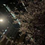 ヒメ日記 2026/04/18 02:05 投稿 なな【ハイスペック美女】 STELLA TOKYO－ステラトウキョウ－