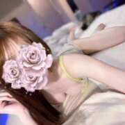 ヒメ日記 2026/04/24 15:23 投稿 なな【ハイスペック美女】 STELLA TOKYO－ステラトウキョウ－