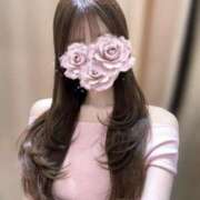 ヒメ日記 2026/06/14 10:19 投稿 なな【ハイスペック美女】 STELLA TOKYO－ステラトウキョウ－