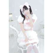 ヒメ日記 2025/10/24 20:47 投稿 ねう プリンセスセレクション姫路