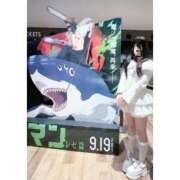 ヒメ日記 2025/11/04 10:54 投稿 ねう プリンセスセレクション姫路