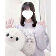 ヒメ日記 2025/11/26 20:54 投稿 ねう プリンセスセレクション姫路