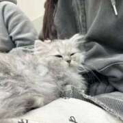 ヒメ日記 2025/10/29 13:34 投稿 涼咲るるか HYPER TOKYO