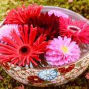 ヒメ日記 2025/08/16 06:49 投稿 いろは 豊満奉仕倶楽部