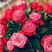 ヒメ日記 2025/09/03 06:59 投稿 いろは 豊満奉仕倶楽部