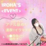 いろは 過激な告知🍁 豊満奉仕倶楽部