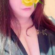 ヒメ日記 2026/04/01 15:20 投稿 いろは 豊満奉仕倶楽部