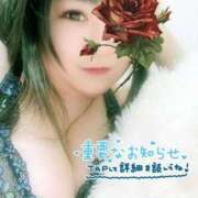 ヒメ日記 2025/09/08 08:20 投稿 いろは 人妻熟女奉仕倶楽部