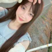 ヒメ日記 2025/08/09 09:24 投稿 めう 姫コレクション