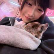 ヒメ日記 2025/09/06 02:41 投稿 めう 姫コレクション