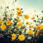 ヒメ日記 2025/08/02 21:51 投稿 つむぎ 水戸ソープランド　水戸スリーナイン(9990)