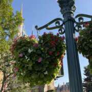 ヒメ日記 2025/11/04 12:00 投稿 りいさ EXE（エグゼ）