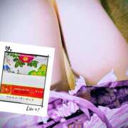 ヒメ日記 2025/09/26 13:10 投稿 ゆみ 汁婆クラブ