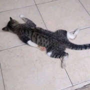 るね ごめんなさいm(._.)m 横浜ハッピーマットパラダイス