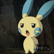 るね 今週休みです(><) 横浜ハッピーマットパラダイス