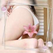 ヒメ日記 2025/07/28 22:32 投稿 下山佳子(しもやまけいこ) 姫路マダム大奥