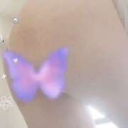 ヒメ日記 2025/08/18 16:42 投稿 下山佳子(しもやまけいこ) 姫路マダム大奥