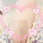 ヒメ日記 2025/08/20 21:02 投稿 下山佳子(しもやまけいこ) 姫路マダム大奥