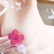 ヒメ日記 2025/08/31 14:44 投稿 下山佳子(しもやまけいこ) 姫路マダム大奥