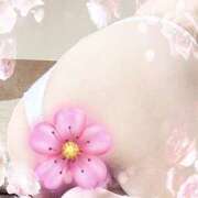 ヒメ日記 2025/09/12 17:02 投稿 下山佳子(しもやまけいこ) 姫路マダム大奥