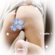 ヒメ日記 2025/11/01 21:42 投稿 下山佳子(しもやまけいこ) 姫路マダム大奥