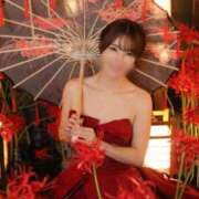 ヒメ日記 2025/11/10 09:29 投稿 湊 パンドラ（吉原）