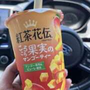 ヒメ日記 2025/08/20 20:20 投稿 れん 千葉柏ちゃんこ