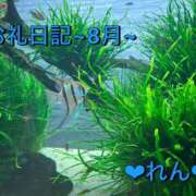ヒメ日記 2025/08/26 17:22 投稿 れん 千葉柏ちゃんこ