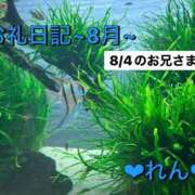 ヒメ日記 2025/08/27 22:05 投稿 れん 千葉柏ちゃんこ