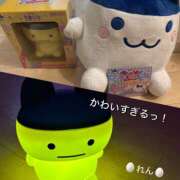 ヒメ日記 2025/09/08 22:07 投稿 れん 千葉柏ちゃんこ