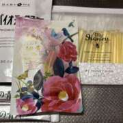 ヒメ日記 2025/12/03 22:04 投稿 れん 千葉柏ちゃんこ