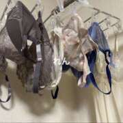 ヒメ日記 2025/12/14 19:10 投稿 れん 千葉柏ちゃんこ