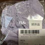 ヒメ日記 2025/12/23 17:02 投稿 れん 千葉柏ちゃんこ