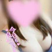 ヒメ日記 2026/04/23 14:19 投稿 さおり ぽっちゃりデリヘル倶楽部