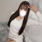 あげは 🦋残り🦋 abc＋