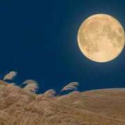 ヒメ日記 2025/11/06 12:02 投稿 あんず 熟女の風俗最終章 宇都宮店