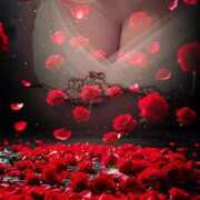 ヒメ日記 2025/11/11 09:55 投稿 あんず 熟女の風俗最終章 宇都宮店