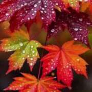 ヒメ日記 2025/11/20 10:02 投稿 あんず 熟女の風俗最終章 宇都宮店