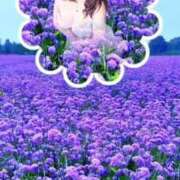 ヒメ日記 2025/11/27 12:22 投稿 あんず 熟女の風俗最終章 宇都宮店