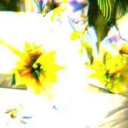 ヒメ日記 2025/12/13 21:22 投稿 あんず 熟女の風俗最終章 宇都宮店