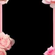 ヒメ日記 2025/12/23 10:47 投稿 あんず 熟女の風俗最終章 宇都宮店