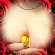 ヒメ日記 2025/12/25 11:22 投稿 あんず 熟女の風俗最終章 宇都宮店