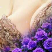 ヒメ日記 2026/01/14 21:11 投稿 あんず 熟女の風俗最終章 宇都宮店