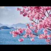 ヒメ日記 2026/04/05 19:02 投稿 あんず 熟女の風俗最終章 宇都宮店